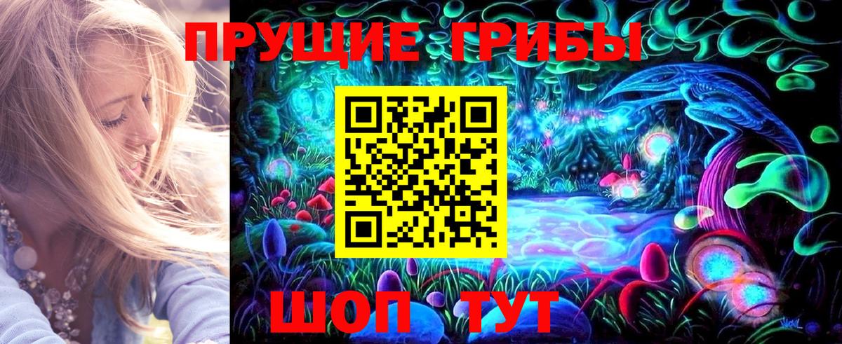 Нальчик  Галлюциногенные грибы Psilocybine cubensis  Вход с VPN 